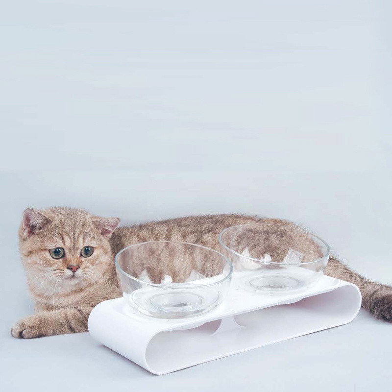 Bıyık yorgunluğu rahatlatmak için kedi yemeği kasesi 2 adet evcil hayvan yemeği ve su kasesi seti
